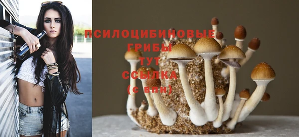 хмурый Балабаново