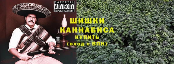 ПСИЛОЦИБИНОВЫЕ ГРИБЫ Баксан