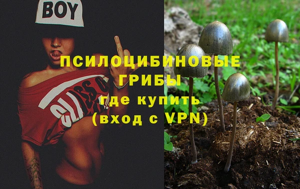 хмурый Балабаново
